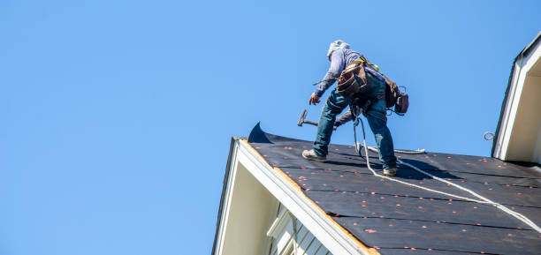 Best Roof Waterproofing Services  in Shoemakersville, PA